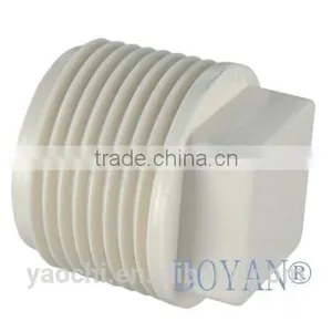 Pvc BS Thread End Cap Plug thumbnail-1