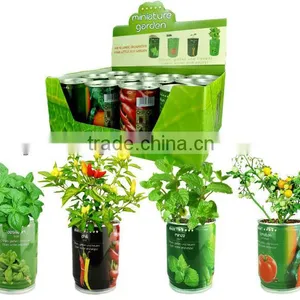 Flower Can,can Flower,flower Tin thumbnail-2
