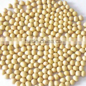 Soybean thumbnail-2