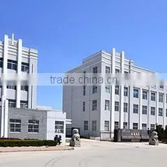 Weihai Qingdong Fishing Tackle Co., Ltd. company overview - view 3 thumbnail