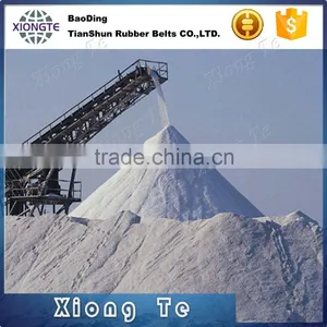 Transmission Rubber Ep Nn Polyester PVC Conveyor Belts thumbnail-2