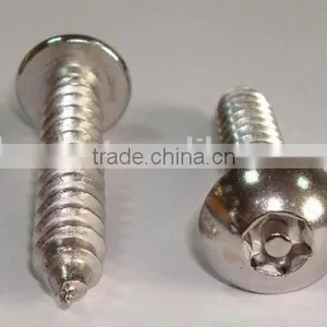 Self Tapping Screw thumbnail-1