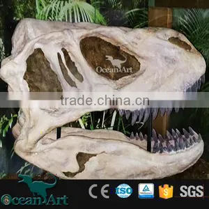 BY-DY-042101 High Quality Scientific Exhibition Life Size Dinosaur Skull thumbnail-6