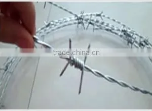 Price Razor Barbed Wire / Electrical Wire for Sale / Plastic Barbed Wire thumbnail-6