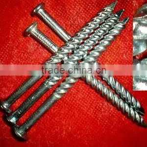 Ethiopia Market Good Quanlity Galvanized Twisted Nails thumbnail-5
