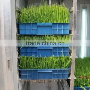 China Hot Selling Automatic Barley Sprouting Machine thumbnail-5