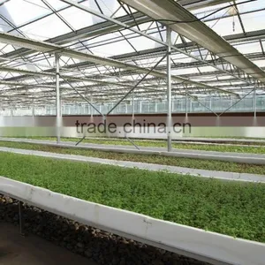 Commercial -Agricultural Polycarbonate Greenhouse thumbnail-1