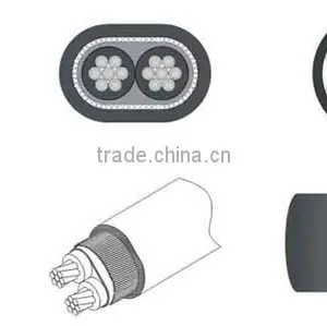 2x10mm2 8000 Series Aluminum Alloy Concentric Cable Flat Concentric Cable thumbnail-6
