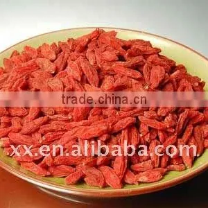 Ningxia Gijo Berry High Quality thumbnail-1