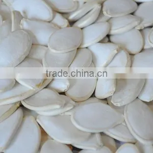 GWS Snow White Pumpkin Seeds Shine Skin Pumpkin Seeds Best Pumpkin Seeds Recipe thumbnail-1