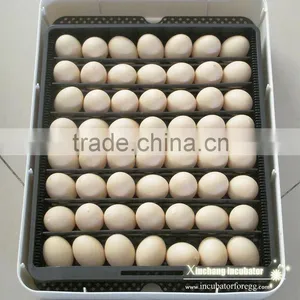 Full Automatic Poultry Egg Incubator/60 Chicken Egg Incubator Hatchery Machine thumbnail-1