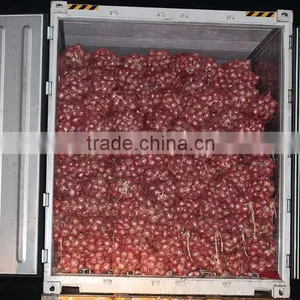 Chinese Fresh Onion 2016 Export to Dubai thumbnail-4