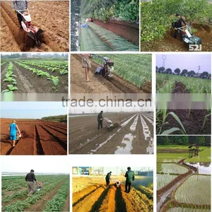 Lead Market Machine Onion Bed Machine for Hilling Furrowing in Luke thumbnail-3