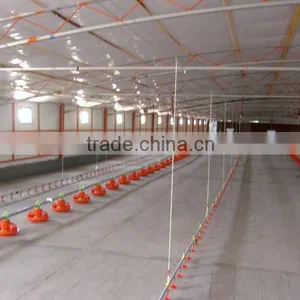 Poultry Broiler Feeding System thumbnail-1