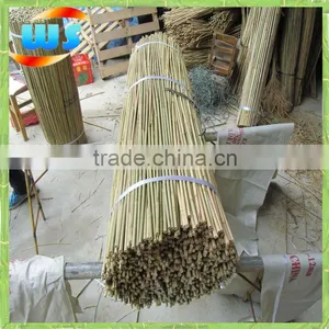 Bamboo Products/Support Plant Growing Bamboo Cane 120cm 8--10mm thumbnail-2