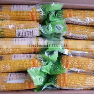 Sweet Corn in Vacuumed Pack thumbnail-2