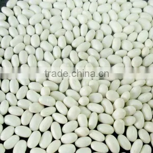 Japanese Style White Kidney Beans thumbnail-1
