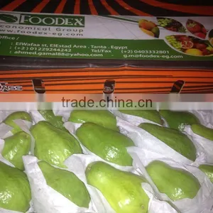 Fresh Guava for Exporting Best Quality thumbnail-1