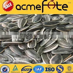 Wholesale Delicious Sunflower Seeds thumbnail-1