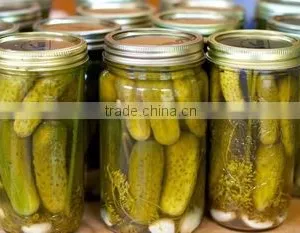 Best Quality Vietnam Fresh Pickled Cucumbers in Jar, Gherkins 3-6cm, 540ml thumbnail-1