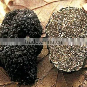 Chinese Black Truffle Price thumbnail-2