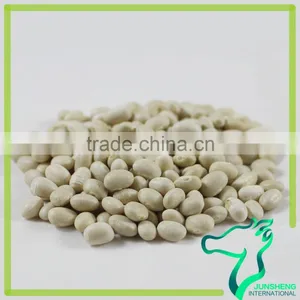 Navy Bean Small White Kidney Beans Haricot Beans thumbnail-2