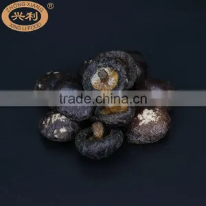 Tasty Crisp Low Temperature Fried Shiitake Mushroom Snacks thumbnail-6