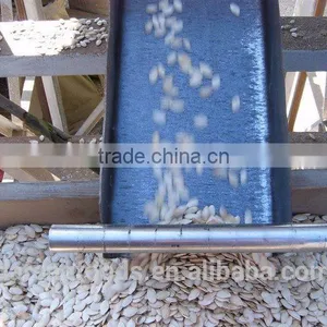 Inner Mongolia Shine Skin Pumpkin Seeds 10-11mm thumbnail-2