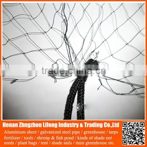 Chinese Factory Supply 100% Virgin Hdpe / pe Plastic Anti Bird Netting , pe Bird Protection Net , Plastic Anti Bird Net thumbnail-6