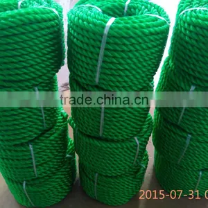 6mm Twisted Cord/Rope Manufacturer From Taian, China thumbnail-3