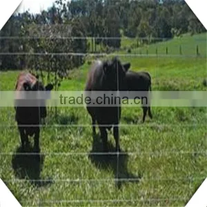1.8m High Heavy Galvanized Sheep Fence / Galvanized Cattle Fence for Sale thumbnail-5
