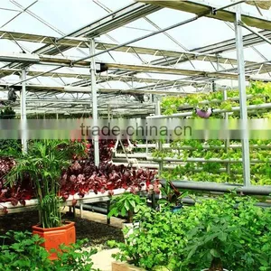Anti-fog and UV-protection Garden Greenhouse,fiberglass Greenhouse Covering,commercial Hothouses thumbnail-3