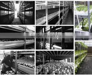 Greenhouse Aluminum Alloy Planting Bed, Watproof Aluminum Alloy Planting Bed thumbnail-3