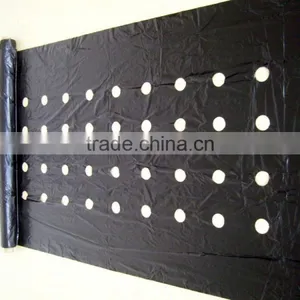 PE Agriculture Black Mulch Film With Perforated Holes thumbnail-2