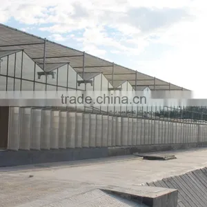Glass Greenhouse in China Solar Hydroponics Greenhouse Greenhouse Growing Medium thumbnail-1