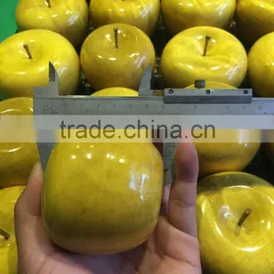 N531 Modern Art Decoration Colorful Apple Christmas Gifts thumbnail-1