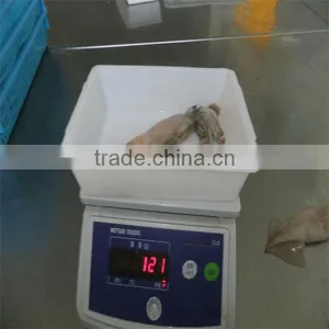 Best Sea Food and Iqf Frozen Squid thumbnail-1