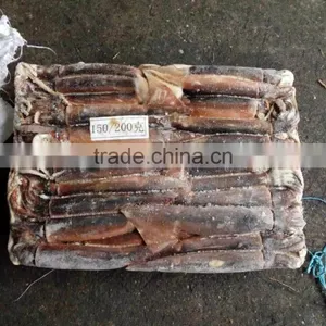 Illex Argentinus Squid Frozen Seafood thumbnail-3