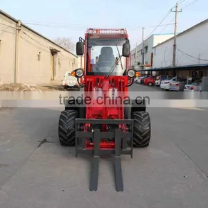 Zl910 Top Quailty Best Price Mini Loader thumbnail-2