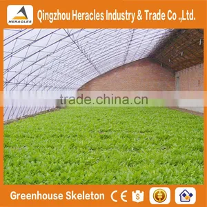 Heracles Low Cost Mini Plastic Sunlight Greenhouse thumbnail-2