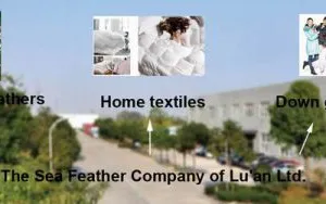 The Sea Feather Limited Company Of Luan company overview - view 1 thumbnail