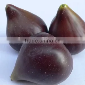 3 Big Decorative Artificial Weighted Figs Fake Faux Fruits thumbnail-1
