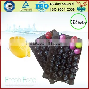 China Supply Factory Price PP ProtectiveTray for Apple Packing thumbnail-5