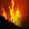 Flame&fire Retardant Fabrics, EN531,EN533,CFR1610 , for FR Coveralls thumbnail-3