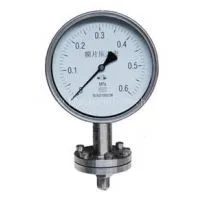 Threaded Stainless Steel Diaphragm Pressure Gauge thumbnail-1