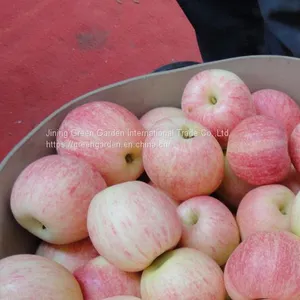 Chinese Gala Apple thumbnail-1