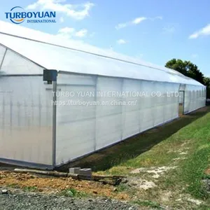 UV Protection 200 Micron PE Greenhouse Plastic Film thumbnail-1
