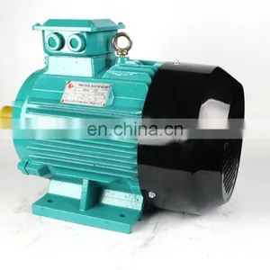 Electric Motor for Wood Machinery thumbnail-4