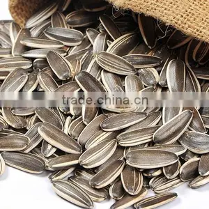 High Quality Sunflower Seed thumbnail-1
