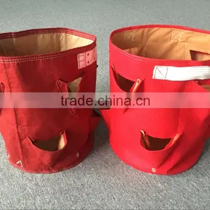 Garden Grow Bag/ Planter Grow Bag/strawberry Grow Bag thumbnail-3